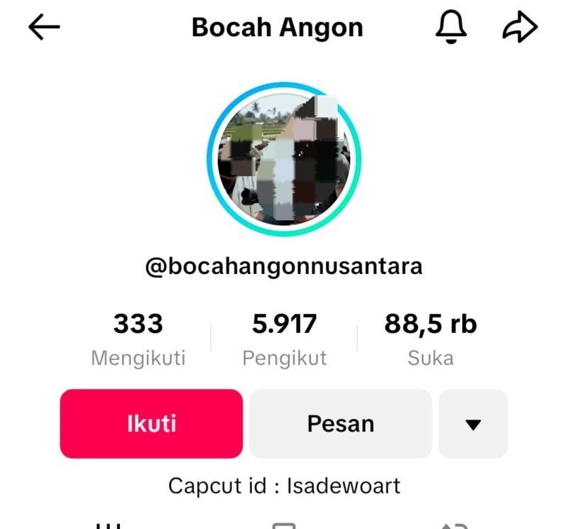 Akun Tiktok Bocah Angon yang diduga langgar UU ITE (foto: SBKM)