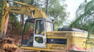 Lahan Warga Diseruduk Alat Berat, Pohon Pinus dan Kopi Tumbang