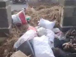 Menumpuk di Samping SPBU Tegal Alur: Tidak Ada Gerakan Bersihkan Sampah dari Kecamatan Kalideres, Jakarta Barat.